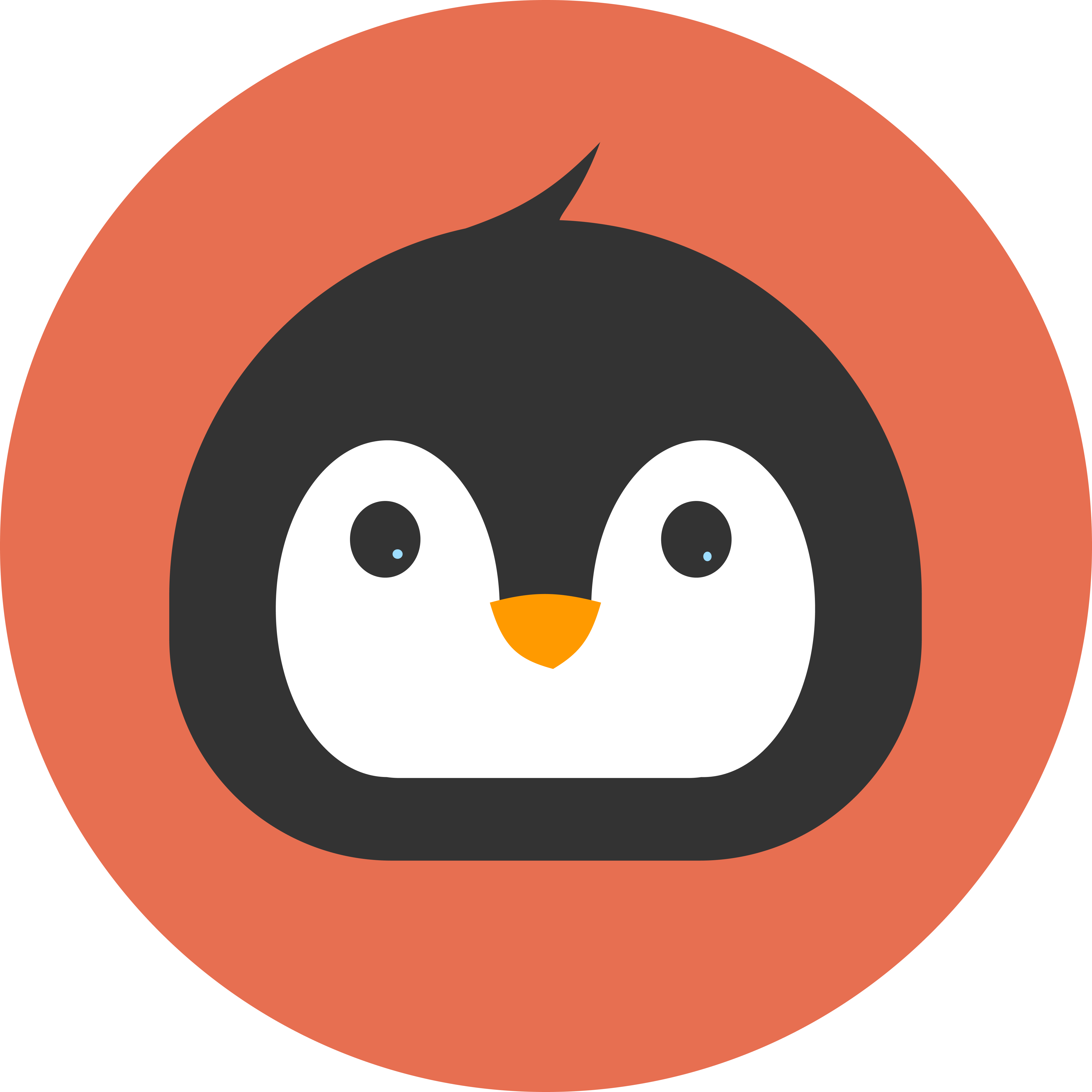 Chippy, the Mennr penguin mascot